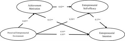 The effect mechanism of perceived entrepreneurial environment on Chinese college students’ entrepreneurial intention: chain mediation model test